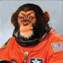 ASTROCHIMP's Avatar